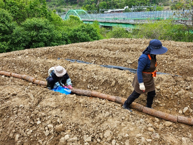 KakaoTalk_20260318_143622826.jpg