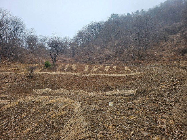 KakaoTalk_20260318_144512894.jpg